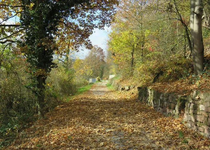 アパート Haus Großheubach